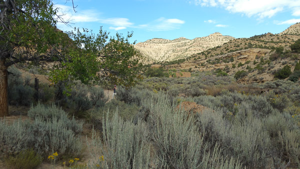 Sego Canyon ghost town